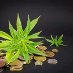 marijuana investment